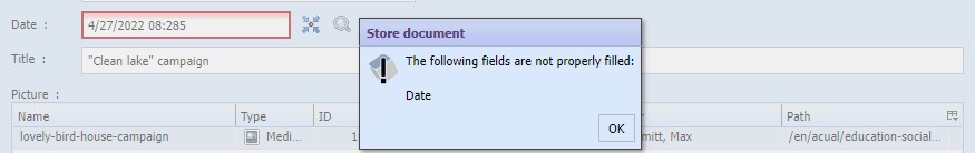 Error mark in case of wrong date input format
