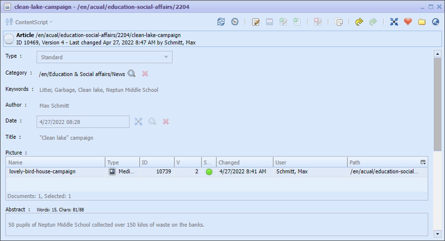 Document window article
