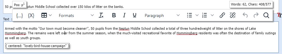 Input field richtext